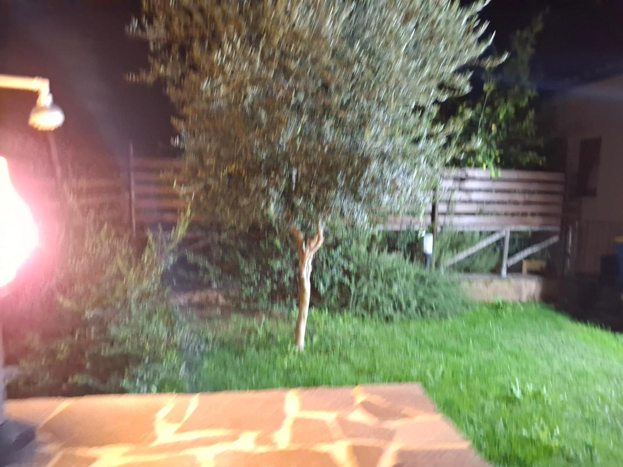 Villa Margherita Chia Bagian luar foto